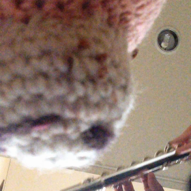 2015.4.22の画像