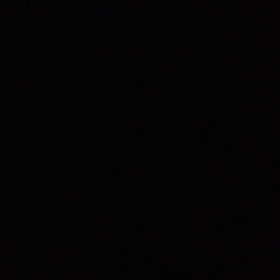 2016.11.17の画像