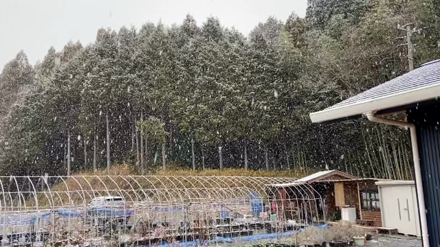 気温0.8度　雪が舞うの記事動画