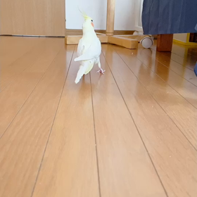 5日間お疲れさんの画像