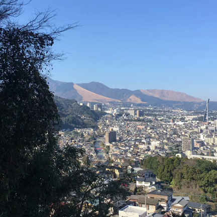 別府市を一望の記事動画