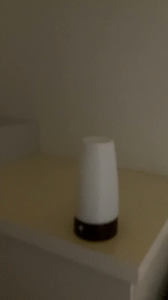 3年ぶりの帰省です。10の記事動画