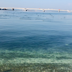 今日の朝活の画像