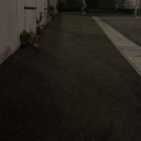 サーフィン上 達への近道‼️の画像