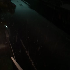 降ってきた＞_＜の画像
