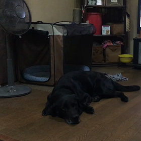 bobbyのルーティンの画像