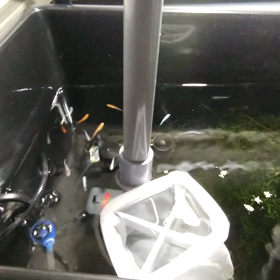 メダカ達や球場への画像