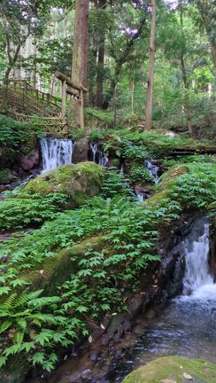 京都から少し足を延ばして。早朝の「瓜割の滝」で、ひとり大自然の息吹に触れる。の記事動画
