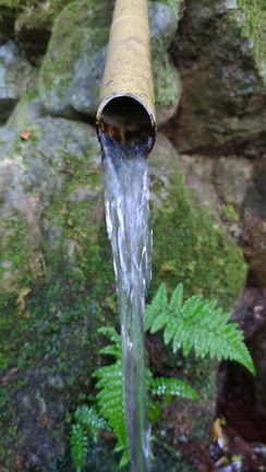 京都から少し足を延ばして。早朝の「瓜割の滝」で、ひとり大自然の息吹に触れる。の記事動画