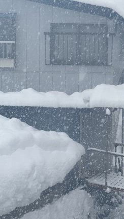 大雪です！！の記事動画