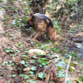 本気なんだよね。の画像