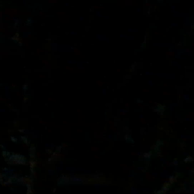 2018/10/21    満天の星の画像