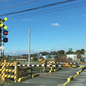 秩父のラッピング電車の画像