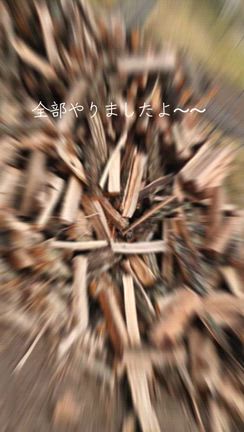 なんと言うことでしょ～～(笑)の記事動画