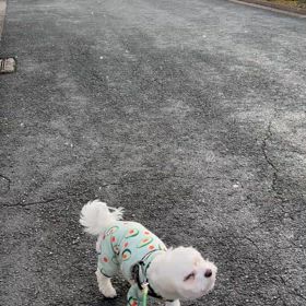 さぶかったね。の画像