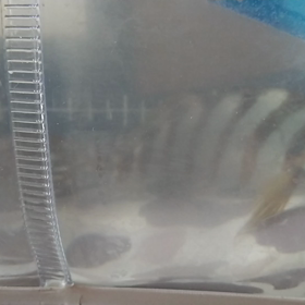 釣りの画像