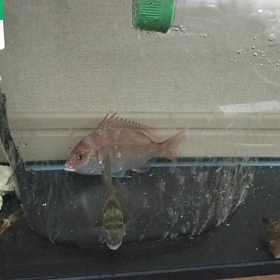 思考錯誤の画像