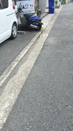 朝から堺へ！の記事動画