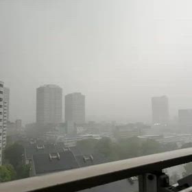 雨だ、雷だ、の画像