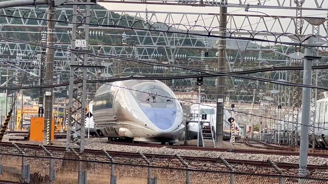 福岡出張で出会った“非日常”と“変わらないご縁”の記事動画