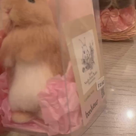 チラの画像