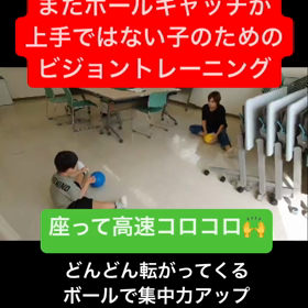 キャッチボールがまだ出来ない子のビジョントレーニングの画像