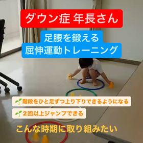屈伸運動トレーニングの画像