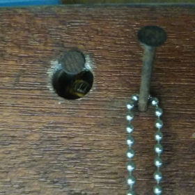 速報。我が家に日本ミツバチ巣を作る。の画像