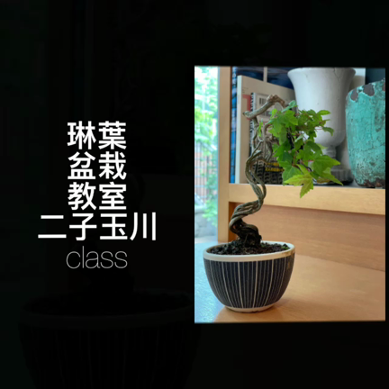 二子玉川class 生徒さま作品の記事動画