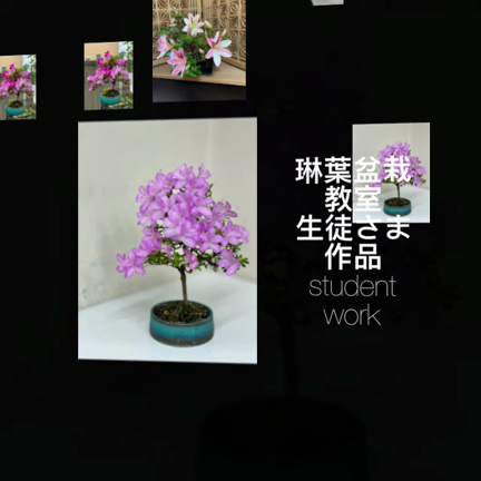 琳葉盆栽　生徒さま作品✨の記事動画