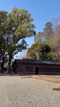 【家族旅行】伊勢神宮と猿田彦神社へ❤️の記事動画