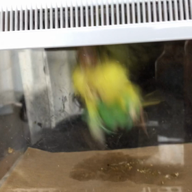 光が見えてきた？の画像