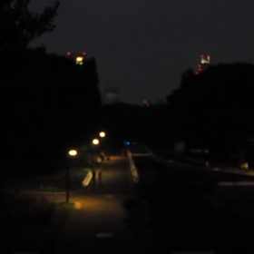 代々木公園定期観測2017（とある街の風景262）の動画（コラボ企画）の画像