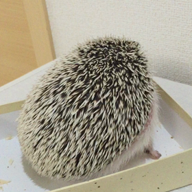 火曜サスペンスの画像