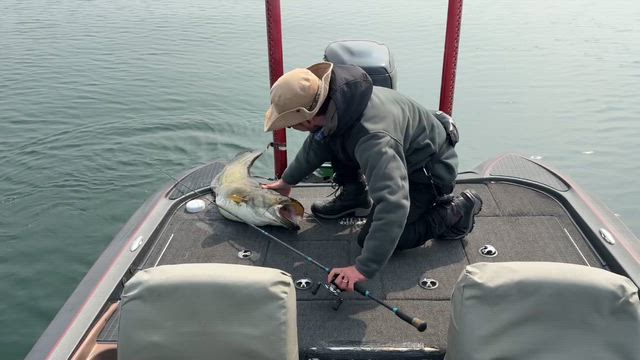 琵琶湖の神様、最後に最高の奇跡をありがとう…。の記事動画