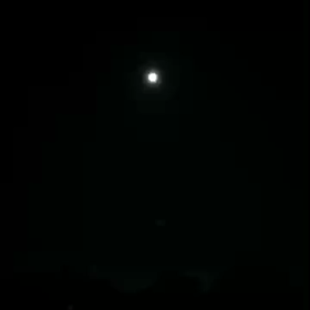 中秋の名月の画像
