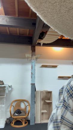ありがとうございますの記事動画