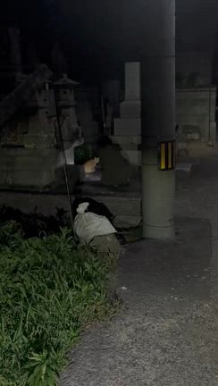 夜の墓場での記事動画