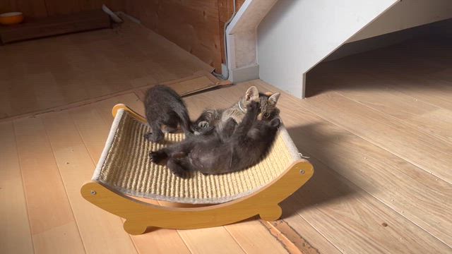 トラベイベーの記事動画