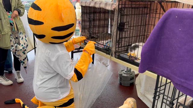 あいにくの雨でしたがの記事動画