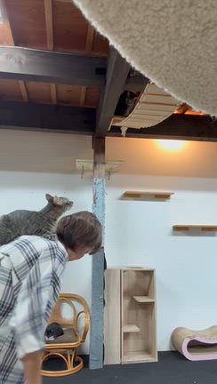 ありがとうございますの記事動画