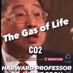 CO2は生命のガス❓　Q_JFKjr/6769の画像