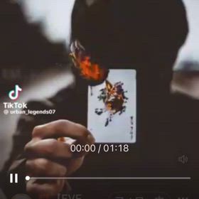 DNA943の画像