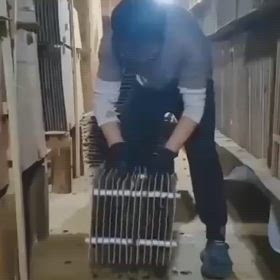 支配者はコレを喰えと言っていましたね　HauteFrequenceMondial/110040の画像