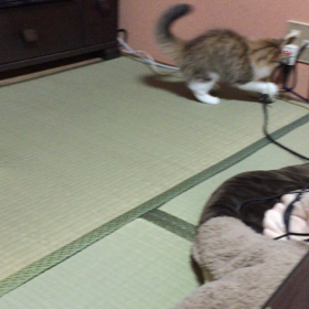 えっ？動画？の画像