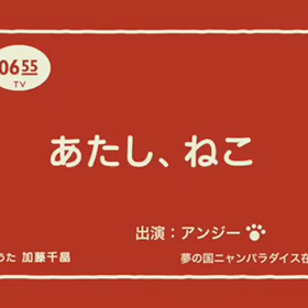 どしゃぶりやぁT^Tの画像