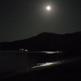 BLUE MOONの画像