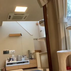 Let‘sお家エクササイズ♪の画像