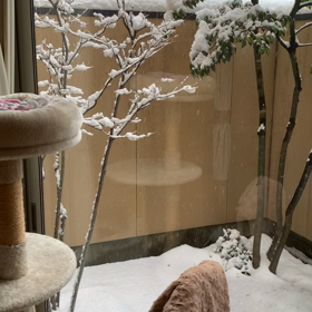 2020年最後のメッセージの画像