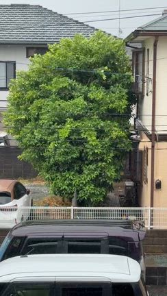 13時24分の富士山の記事動画